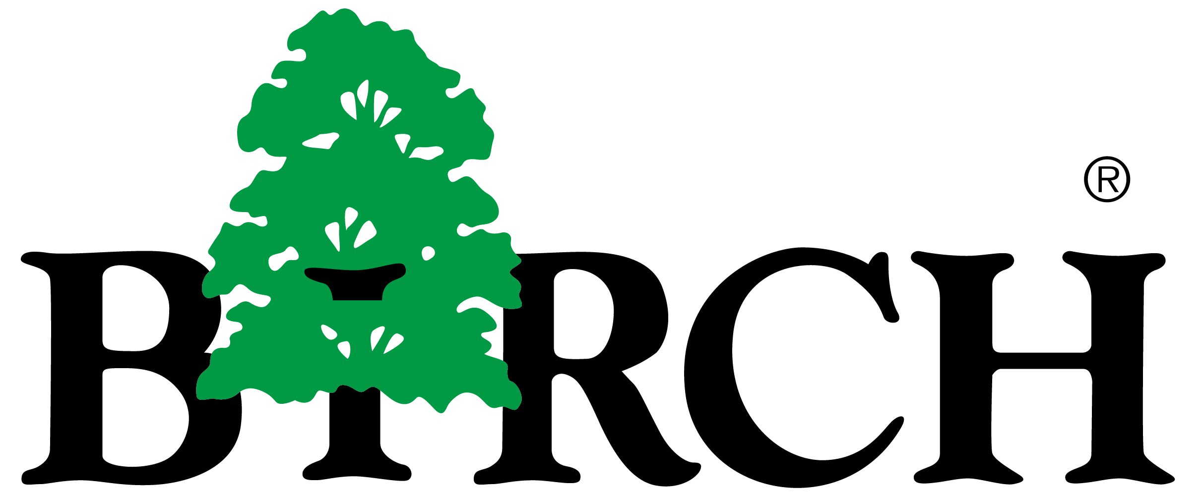 Birch Technology Inc,