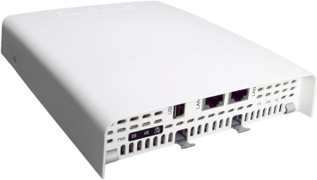 Ruckus ZoneFlex C110 Access Point