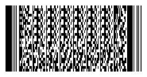 2-Dimensional Symbol PDF417 Barcodes