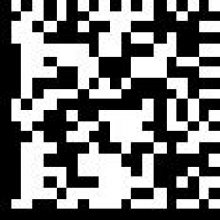 2-Dimensional Data Matrix Barcodes